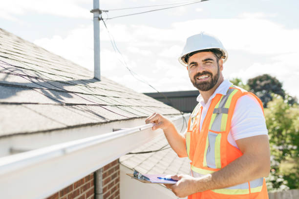 Best Roof Gutter Cleaning  in Ault, CO