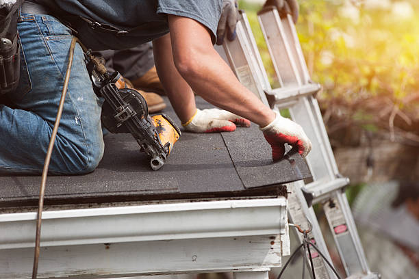 Best Metal Roofing Contractor  in Ault, CO